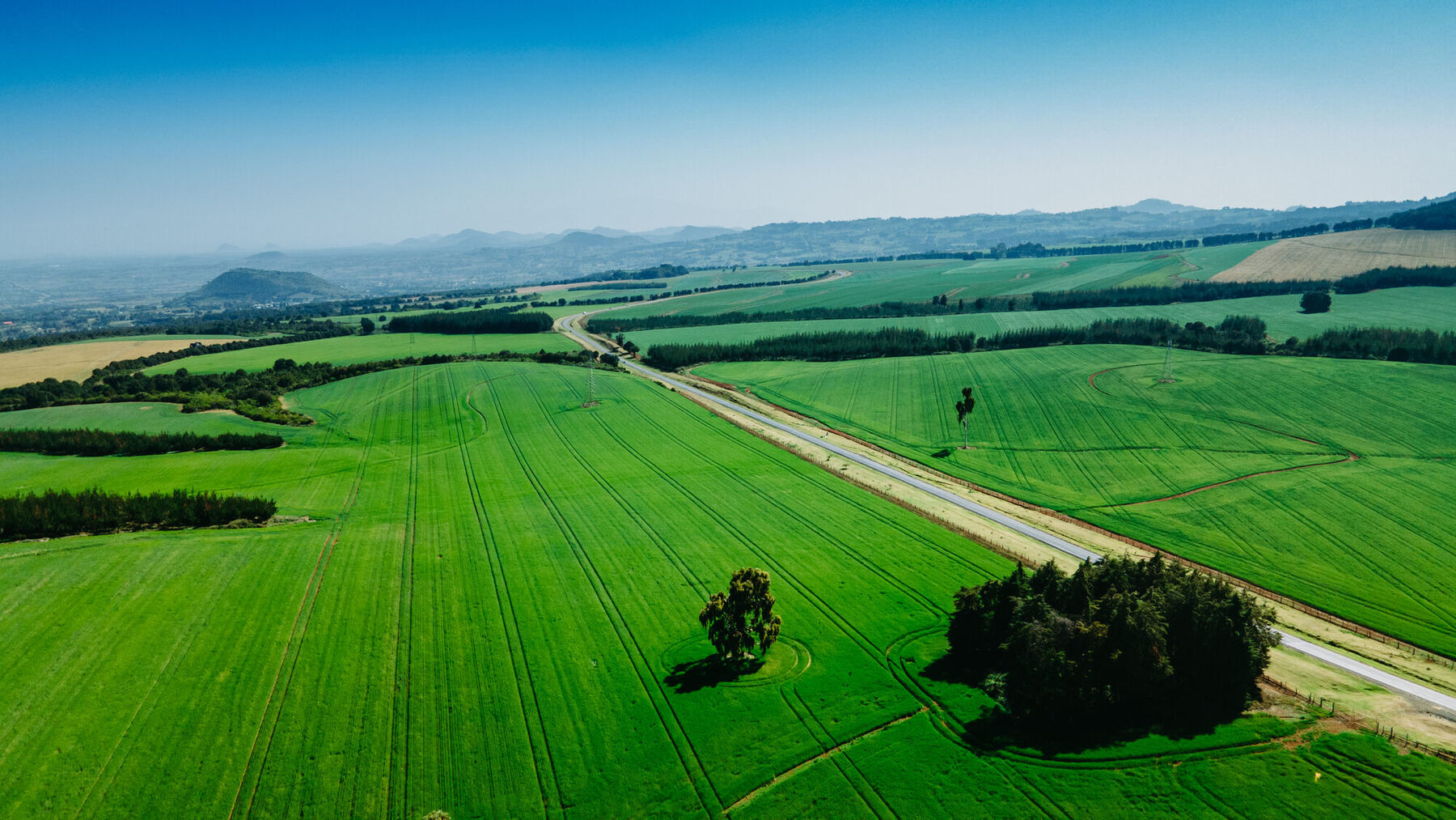 Aerial drone photography Kenya